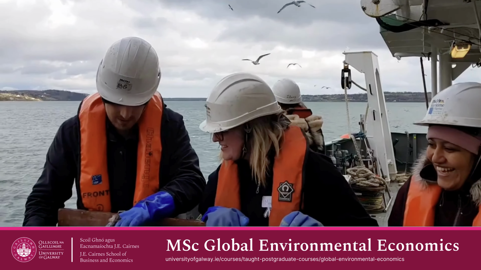 Webinar MSc Global Environmental Economics at University of Galway, February 2025